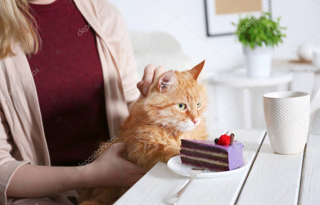 Woman sitting in cat cafe