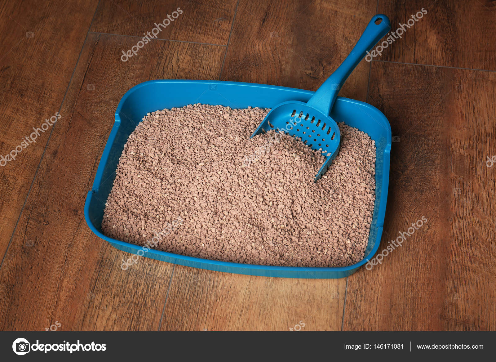 ice litter box
