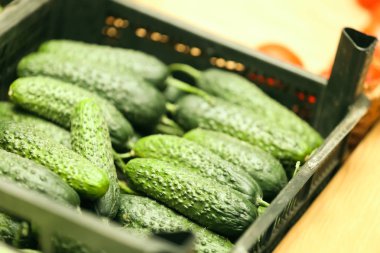 Sepet içinde çarşı salatalık ile