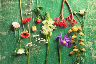 güzel taze çiçekler