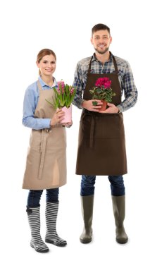 Karanfiller tutan iki çiçekçi 