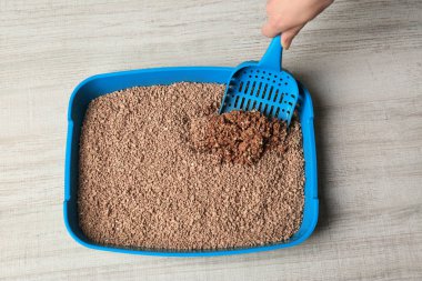 Kedi çöp kutu ahşap arka plan üzerinde temizlik el