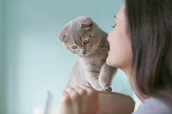 Jovem mulher brincando com gato bonito em casa — Fotografia de Stock