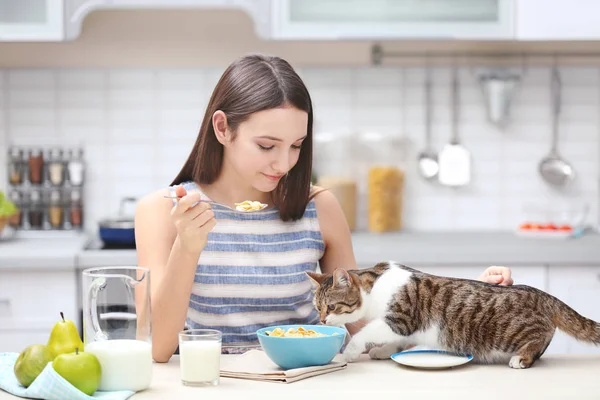 Утро красивой молодой женщины и кота на кухне — стоковое фото