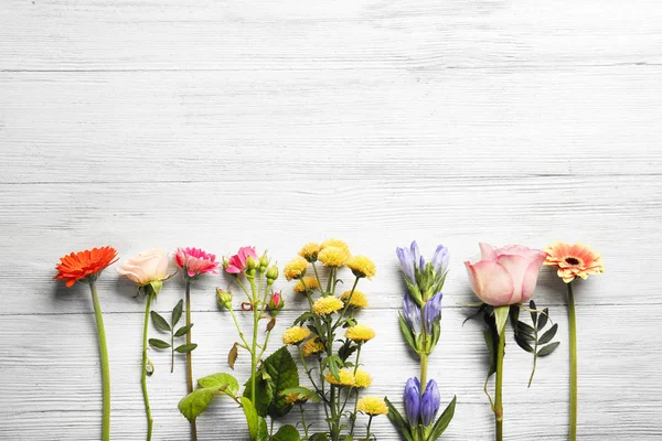 Prachtige verse bloemen — Stockfoto