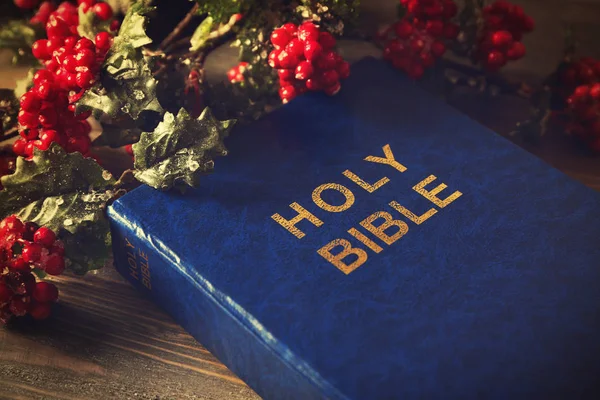 Bible and mistletoe branch — Stock Photo, Image