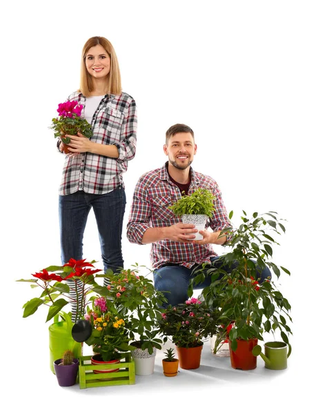 Deux fleuristes tenant des plantes maison — Photo