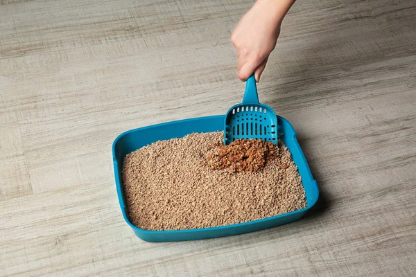 Female hand cleaning cat litter box on wooden background — Stock Photo, Image