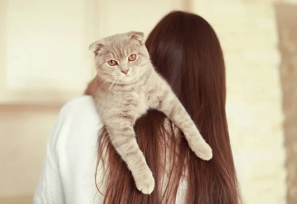 Красивая молодая женщина с симпатичной кошкой — стоковое фото