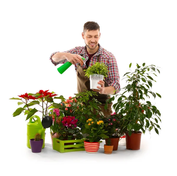 Fiorista maschio con piante da casa — Foto Stock