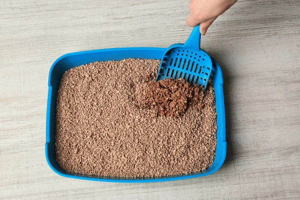 Caja de arena para gatos de limpieza manual femenina sobre fondo de madera — Foto de Stock