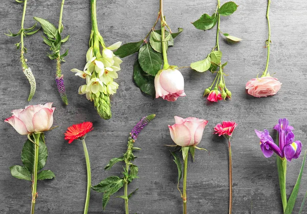 Schöne frische Blumen — Stockfoto