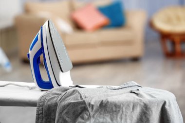 Elektrik demir ve gömlek 