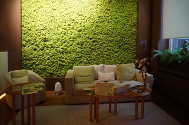 Spa salonu iç