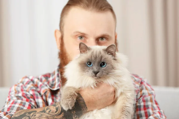 Ung Skäggig Man Med Fluffig Katt Hemma — Stockfoto