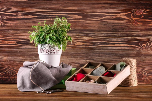 Ficus och slot box med kronblad och blad — Stockfoto