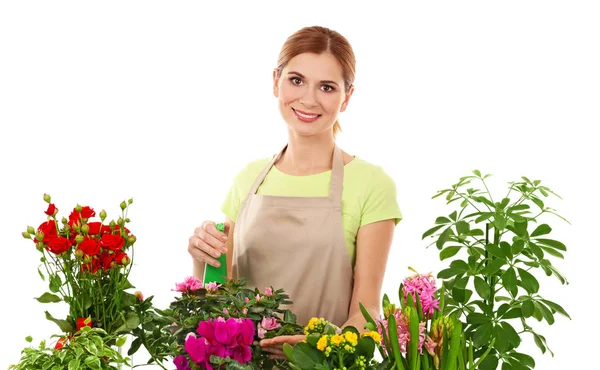 Beautiful female florist \ — Stock Photo, Image