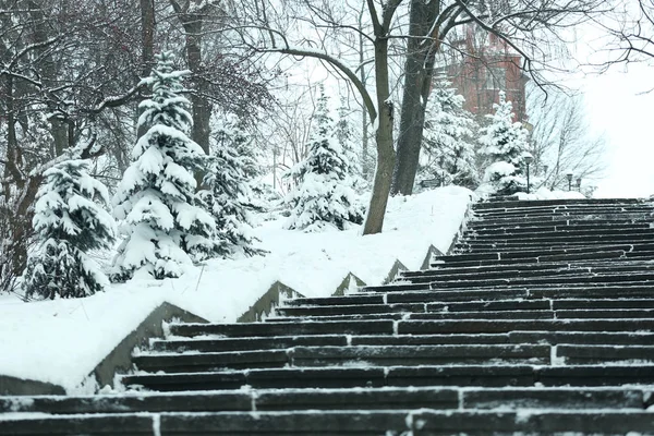Χειμερινό τοπίο με σκάλες και δέντρα — Φωτογραφία Αρχείου