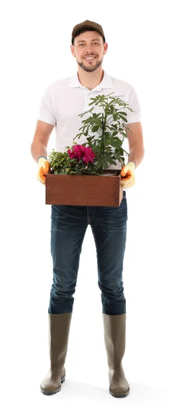 Manliga florist håller krukväxter — Stockfoto