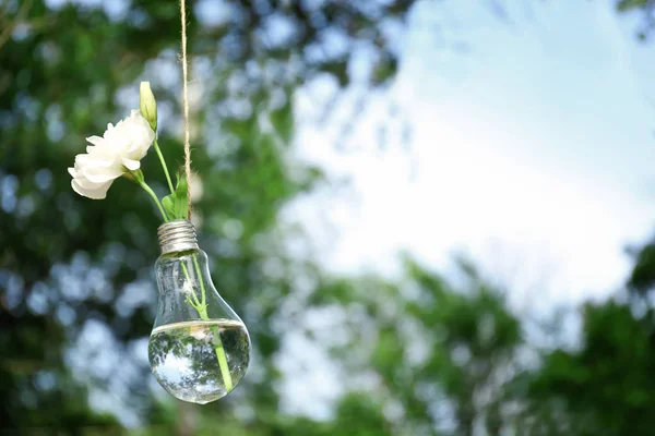 flowers in light bulb hanging on string