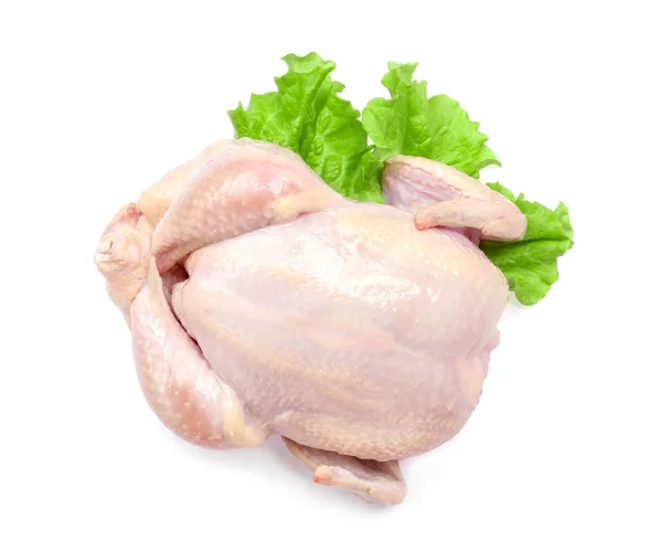 Poulet cru entier — Photo