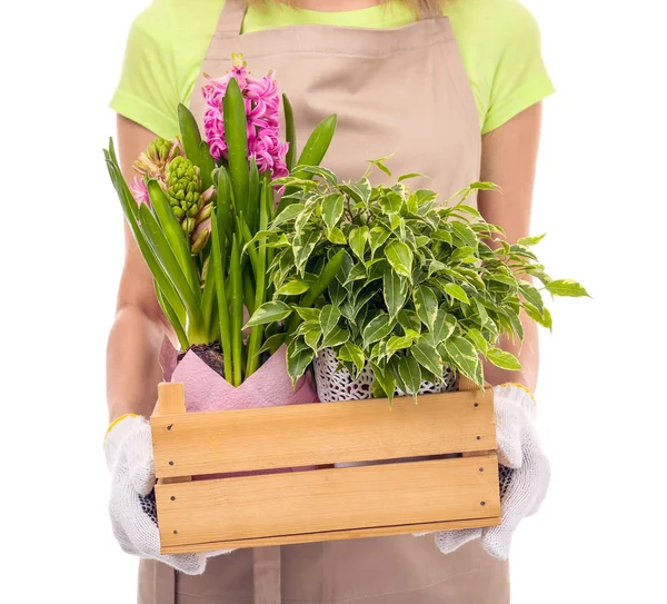 Kadın çiçekçi holding ahşap kutu — Stok fotoğraf