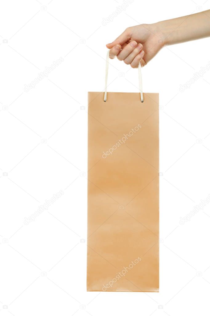 hand holding gift paper bag 