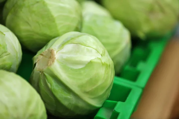 プラスチックの箱で新鮮な野菜 — ストック写真