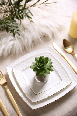 Succulents ile hizmet tablo