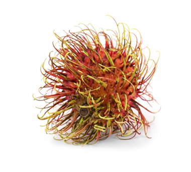 Sulu egzotik rambutan