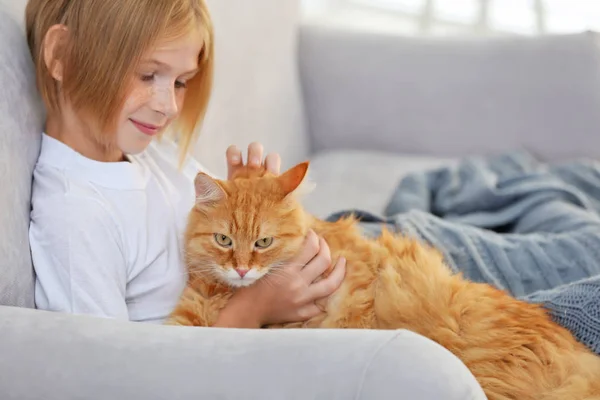 Petite fille avec chat pelucheux rouge — Photo