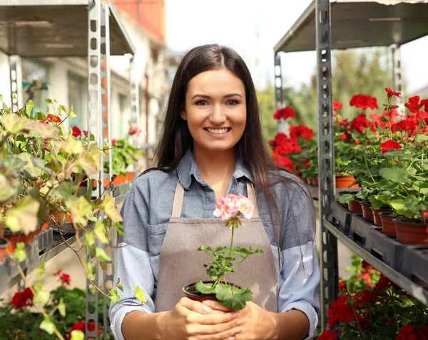 Pretty young florist — Stock Photo, Image