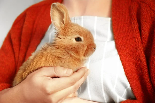 Mujer Sosteniendo Lindo Conejo Esponjoso Primer Plano —  Fotos de Stock