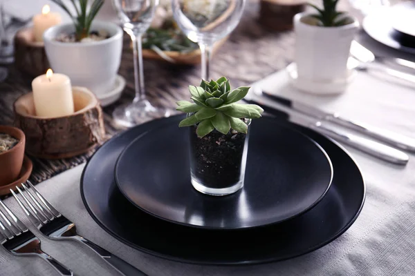 Table servie avec des succulents — Photo