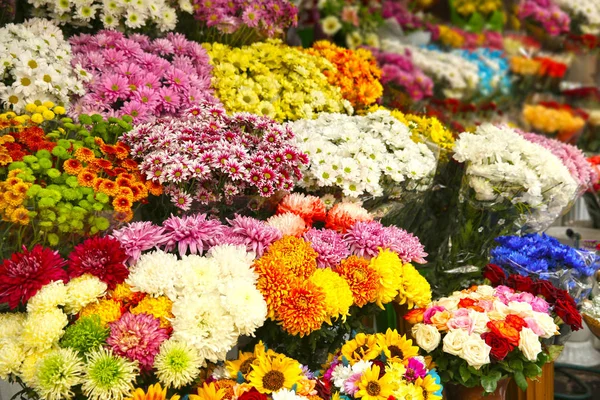 Bloemen in bloemenwinkel — Stockfoto