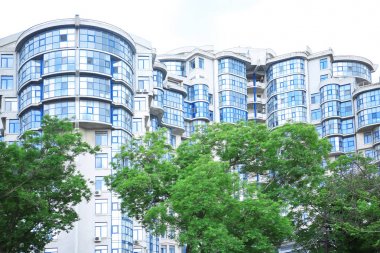 Modern bina ve ağaç 