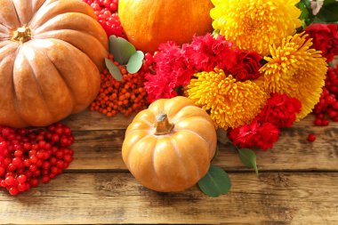 Kabaklar rowan ve kartopu 