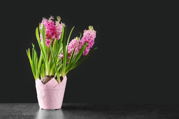 Beautiful flowers in pot — Stock Photo, Image