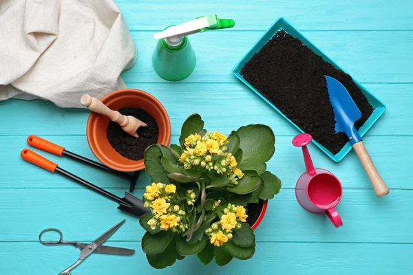 Beautiful flowers and gardener equipment — Stock Photo, Image