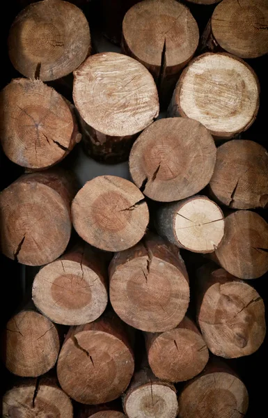 Toros empilhados de madeira — Fotografia de Stock