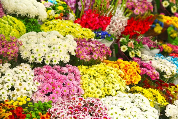 Flores na loja de flores — Fotografia de Stock