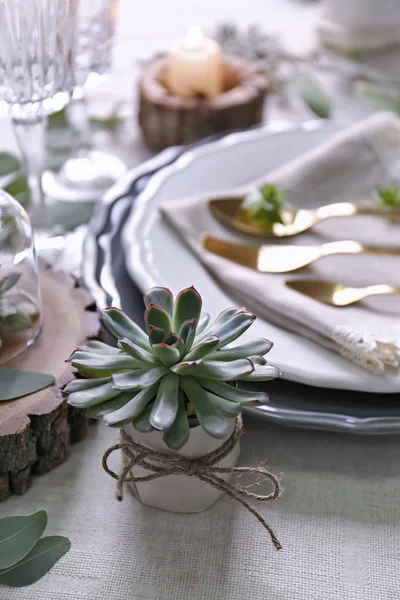 Table servie avec des plantes succulentes — Photo