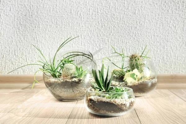 ᐈ Terrarium Plants Stock Images Royalty Free Terrarium Garden