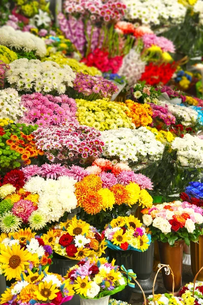 Flores na loja de flores — Fotografia de Stock