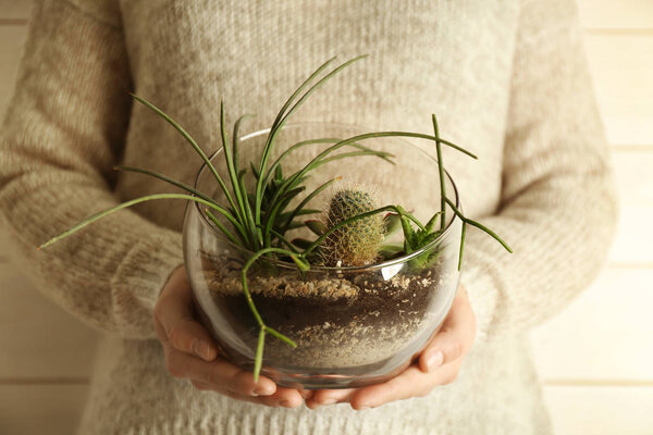 Women hands holding succulent garden