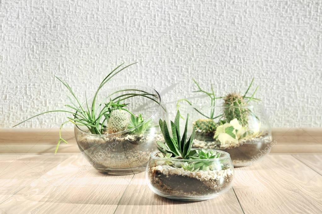 Succulent gardens in glass vases