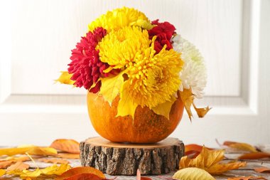 Kabak ile renkli çiçekler 