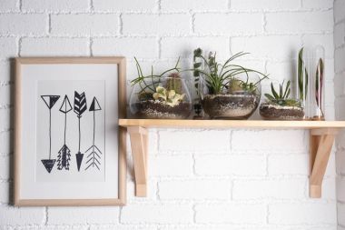 Cam vazo ile succulents Florarium