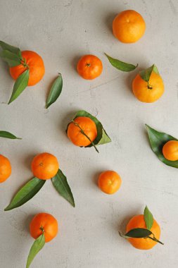 Sulu mandalina kompozisyon