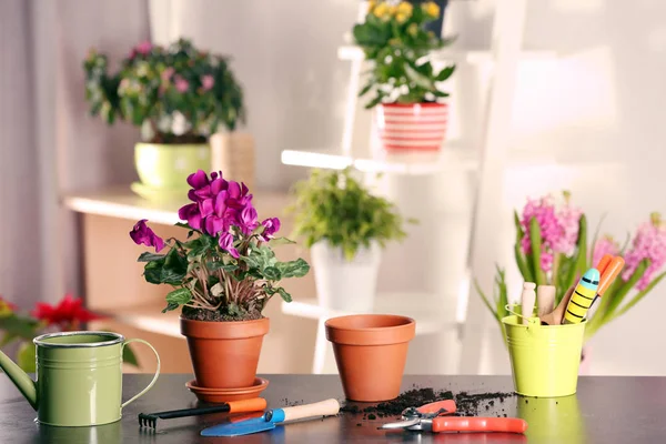 Spring plants with gardener equipment — Stock Photo, Image